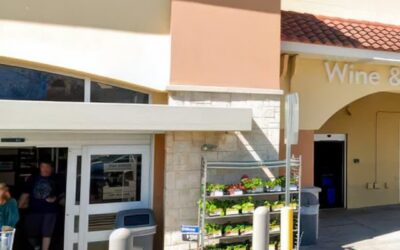 Seminole Council Kills Walmart’s Pinellas Drone Hub In 4-3 Vote