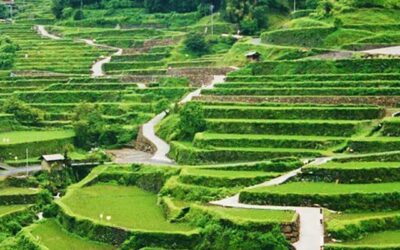 Japan Agriculture Drone Market Projected to Reach $357.8M by 2034