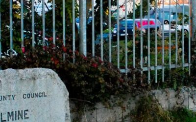 Manna Points To Trinity Study After Coolmine Refusal