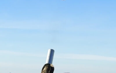Startup Aims to Make Drone Attacks Too Expensive to Wage