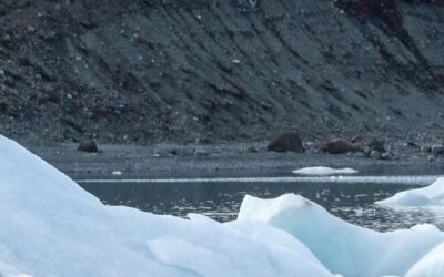 Cat-Inspired Claws Help Ice Dart Drone Land on Steep Ice