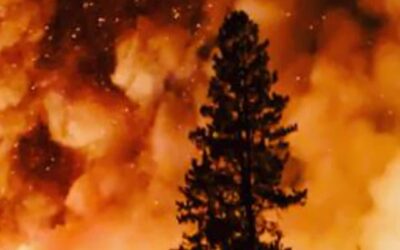 Fire Foresight Wins $500,000 XPRIZE Wildfire Award